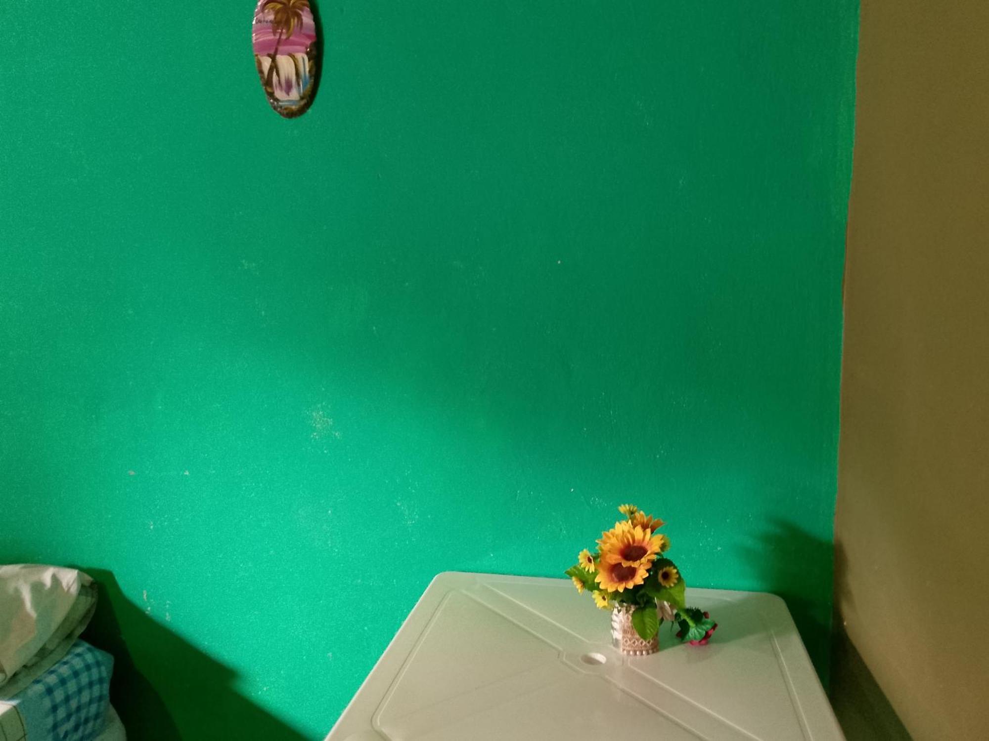 Hostel Loli 푸에르토이과수 외부 사진